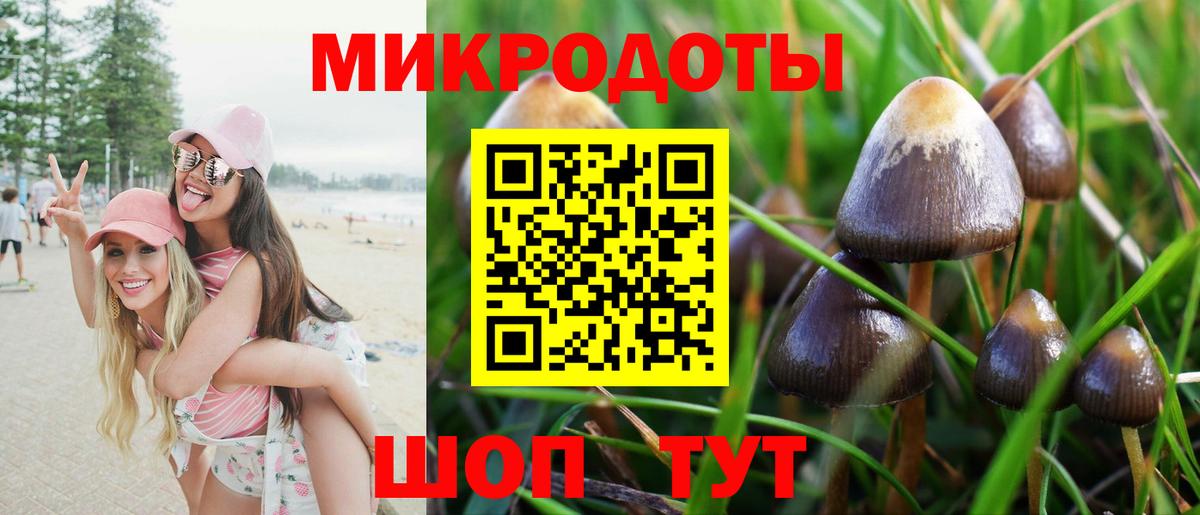 Учалы  Псилоцибиновые грибы Psilocybine cubensis  Галлюциногенные грибы Magic Shrooms  Вход с VPN 