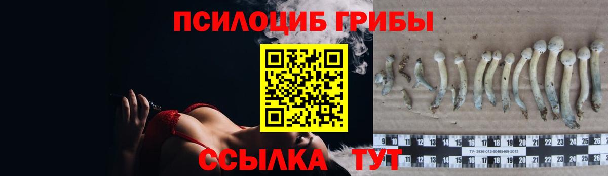 Псилоцибиновые грибы Psilocybe Учалы
